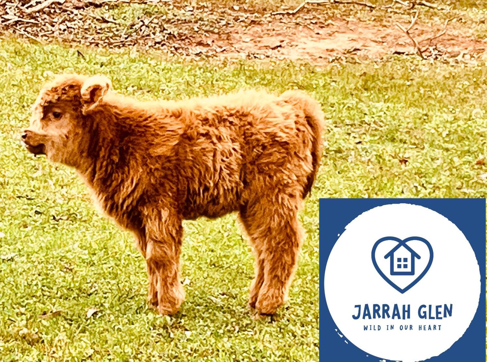 Jarrah Glen Cabins Наннап Экстерьер фото